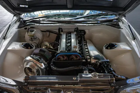_MG_6448-optimized