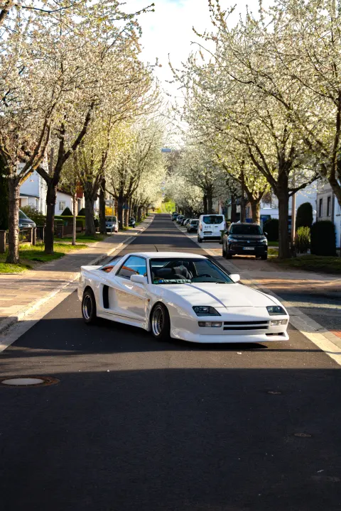 IMG_0300-optimized